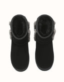 AUSTRALIAN SHEPHERD® Mini Darby