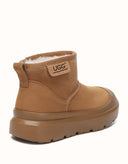 AUSTRALIAN SHEPHERD® Harrison