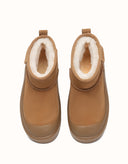 AUSTRALIAN SHEPHERD® Harrison