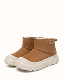 AUSTRALIAN SHEPHERD® Harrison