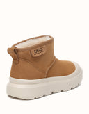 AUSTRALIAN SHEPHERD® Harrison