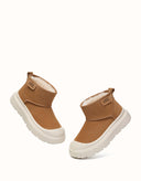 AUSTRALIAN SHEPHERD® Harrison