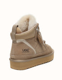 AUSTRALIAN SHEPHERD® Samir