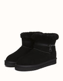 AUSTRALIAN SHEPHERD® Lienn