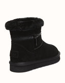 AUSTRALIAN SHEPHERD® Lienn