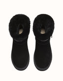 AUSTRALIAN SHEPHERD® Lienn