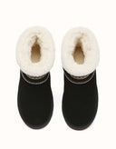 AUSTRALIAN SHEPHERD® Ferlat