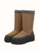 AUSTRALIAN SHEPHERD® Tall Glacelle