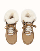 AUSTRALIAN SHEPHERD® Trego