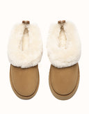 AUSTRALIAN SHEPHERD® Glacial