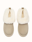 AUSTRALIAN SHEPHERD® Glacial