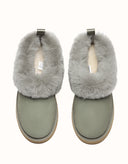 AUSTRALIAN SHEPHERD® Glacial