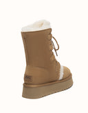 AUSTRALIAN SHEPHERD® Brunor