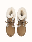 AUSTRALIAN SHEPHERD® Brunor