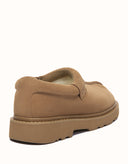 AUSTRALIAN SHEPHERD® Axton