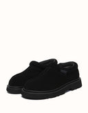 AUSTRALIAN SHEPHERD® Axton