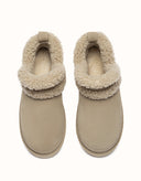 AUSTRALIAN SHEPHERD® Arden