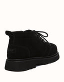 AUSTRALIAN SHEPHERD® Caelen