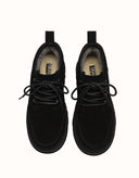 AUSTRALIAN SHEPHERD® Caelen