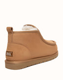 AUSTRALIAN SHEPHERD® Tavros