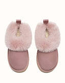 AUSTRALIAN SHEPHERD® Glacial Kids