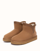 AUSTRALIAN SHEPHERD® Mini Wintra