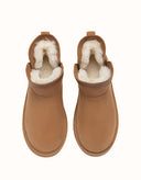 AUSTRALIAN SHEPHERD® Mini Wintra