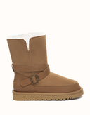 AUSTRALIAN SHEPHERD® Short Halvik