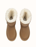 AUSTRALIAN SHEPHERD® Short Halvik