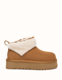 AUSTRALIAN SHEPHERD® Eirwen Platform