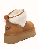 AUSTRALIAN SHEPHERD® Eirwen Platform