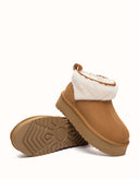 AUSTRALIAN SHEPHERD® Eirwen Platform