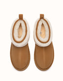 AUSTRALIAN SHEPHERD® Eirwen Platform