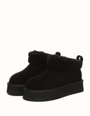 AUSTRALIAN SHEPHERD® Eirwen Platform