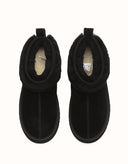 AUSTRALIAN SHEPHERD® Eirwen Platform