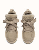 AUSTRALIAN SHEPHERD® Parklyn