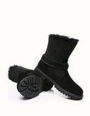 AUSTRALIAN SHEPHERD® Sarah