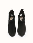 AUSTRALIAN SHEPHERD® Chana