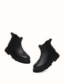 AUSTRALIAN SHEPHERD® Dralen