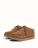 AUSTRALIAN SHEPHERD®Ryan