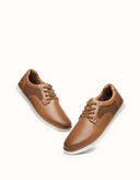 AUSTRALIAN SHEPHERD® Daniel