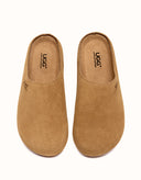 AUSTRALIAN SHEPHERD® Marven