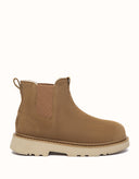 AUSTRALIAN SHEPHERD® Dravor