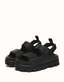 AUSTRALIAN SHEPHERD® Beatia