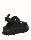 AUSTRALIAN SHEPHERD® Beatia