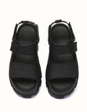 AUSTRALIAN SHEPHERD® Beatia