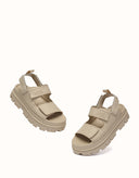 AUSTRALIAN SHEPHERD® Beatia