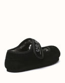 AUSTRALIAN SHEPHERD® Velvi