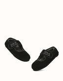 AUSTRALIAN SHEPHERD® Velvi