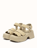 Australian Shepherd® Eive